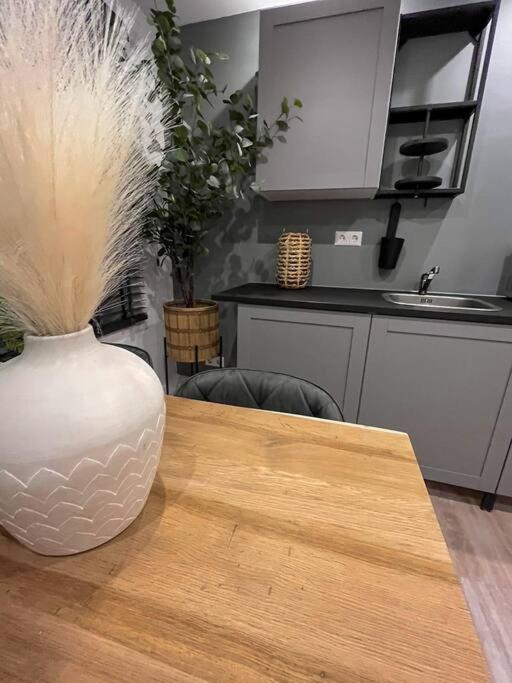 Gezellig Appartement, Gerenoveerd Eind 2022 Tilburg Ngoại thất bức ảnh